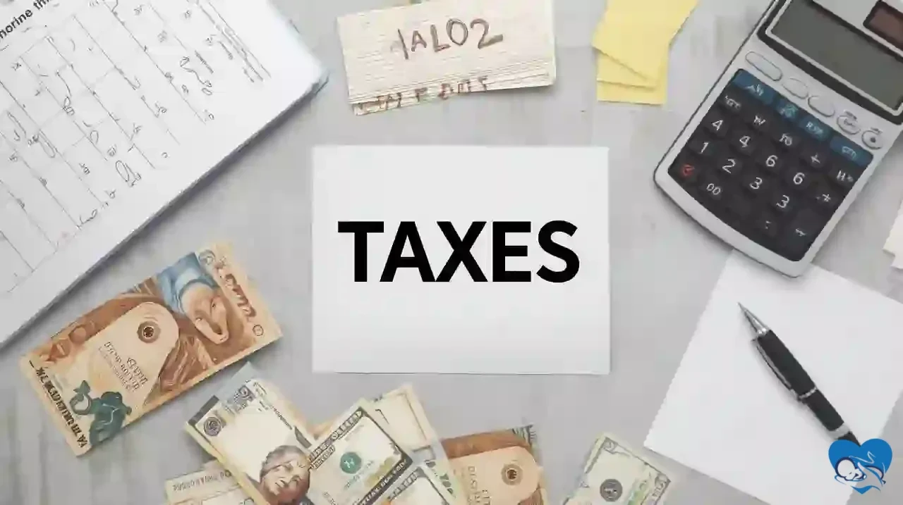 Налоги в Бразилии для удалённых работников: календарь, калькулятор и документы