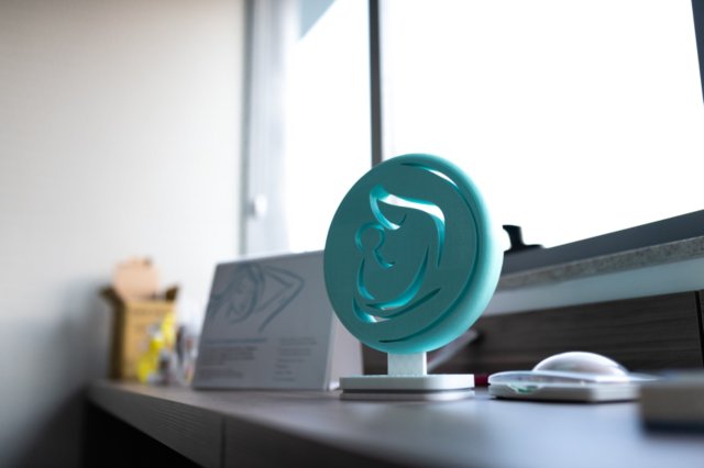 Руководство Врача Родов Флорианополис Бразил